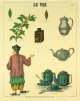 Deyrolle-le-The--Tea-History--379733.jpg