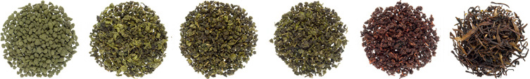 oolong-ilu.jpg