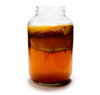 kombucha-male.jpg