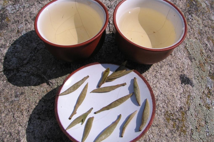 baihaoyinzhen4.jpg