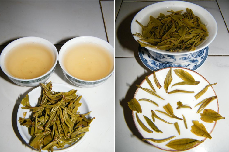 maojian3.jpg