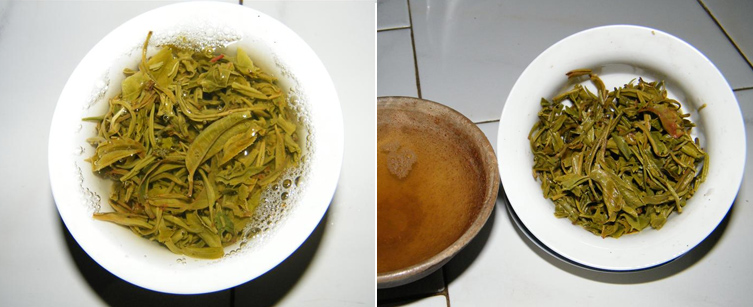 tang3.jpg