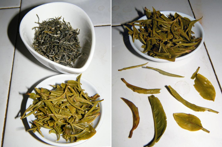 tang4.jpg