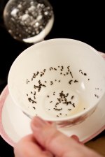 tasse.jpg