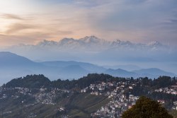 shutterstock_322410938.jpg